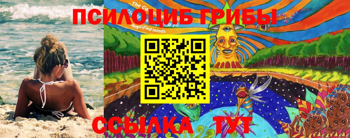 Псилоцибиновые грибы Psilocybine cubensis Глазов